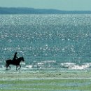 06 Weicht Sabine Freiheit